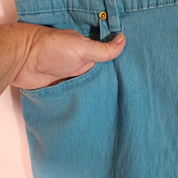 DG2 by Diane Gilman Women's Straight Leg Stretch Denim Shorts Size 14 Teal Blue - Picture 3 of 8